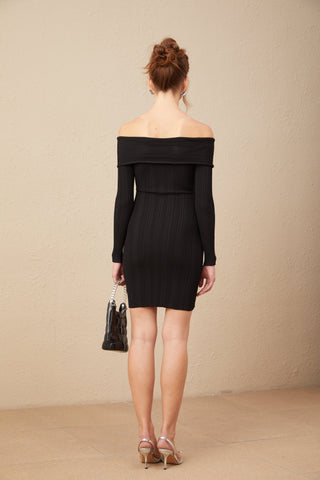 Alice Omuzsuz Ribana Triko Mini Elbise