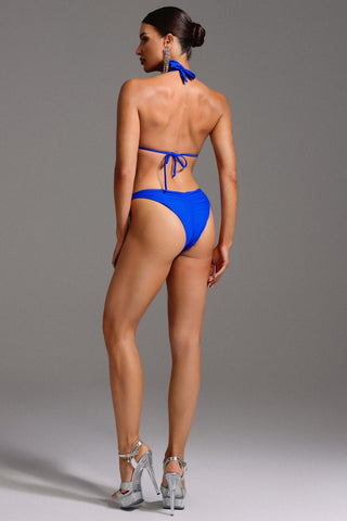 Taye Halter Yaka Taş Detaylı Bağcıklı Bikini