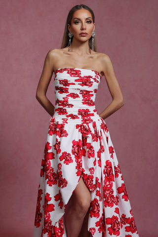 Tenley Volanlı Maksi Elbise