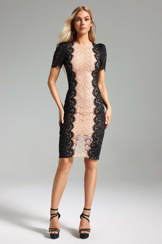 Garina Dantel Vücut Hatlarını Belirginleştiren Elbise